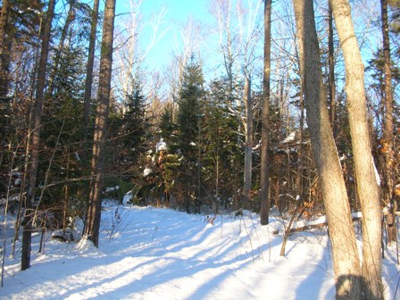 Blue winter sky